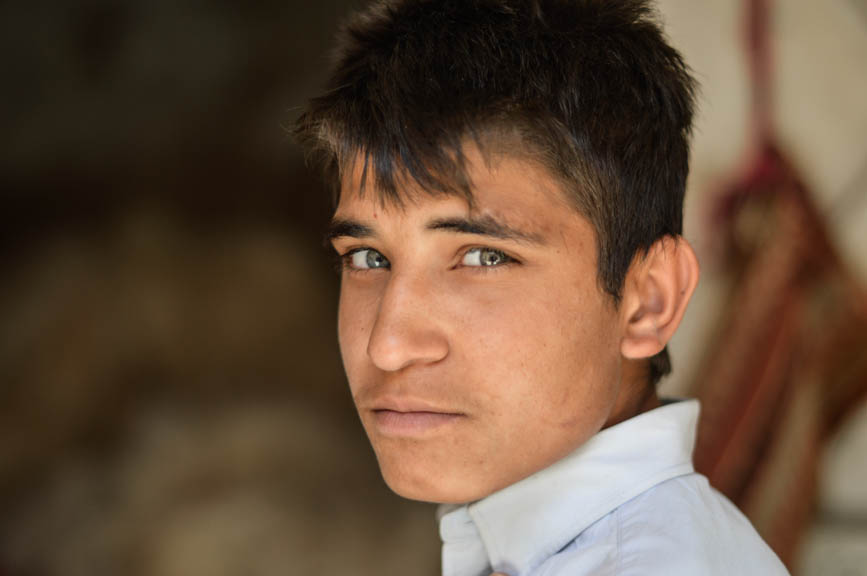 Mardin sahin