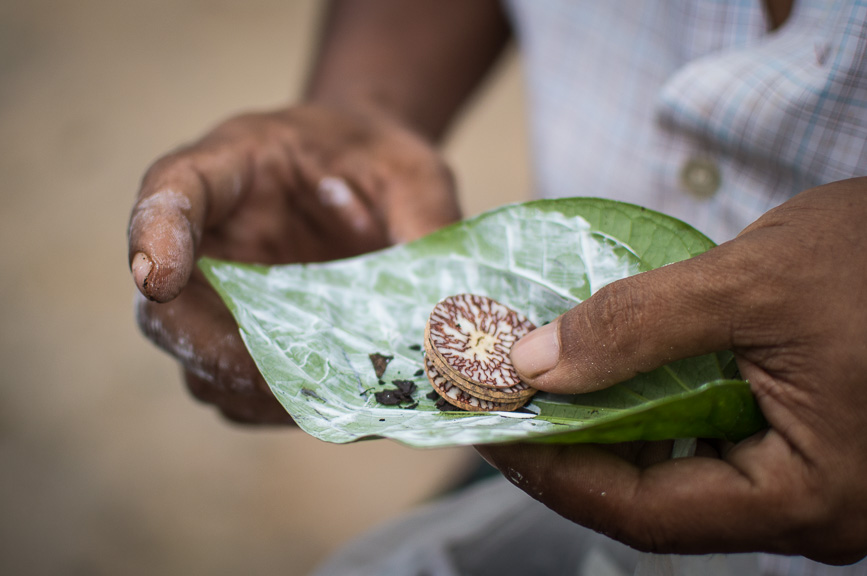 Myanmar betel nut
