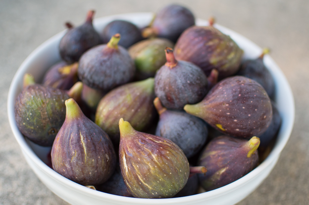 fig tart bowl