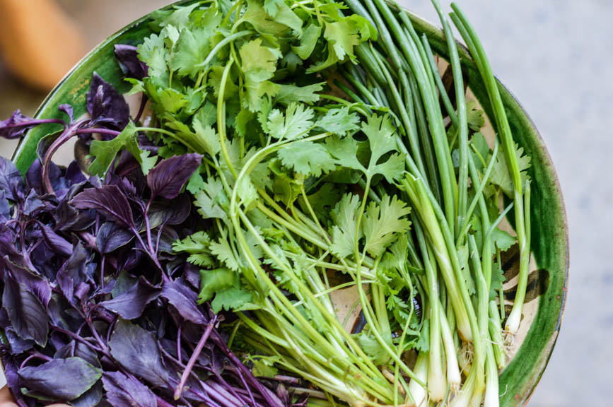herbs