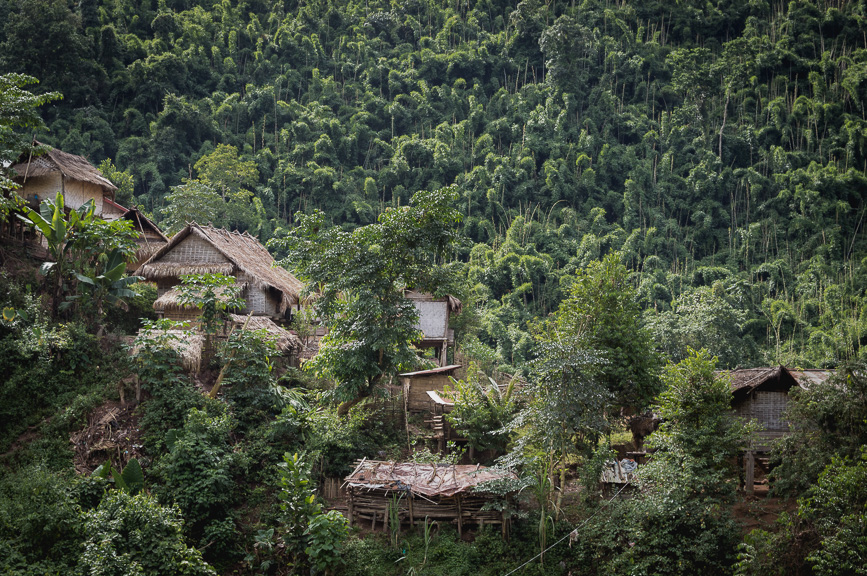 jungle papaya jungle houses